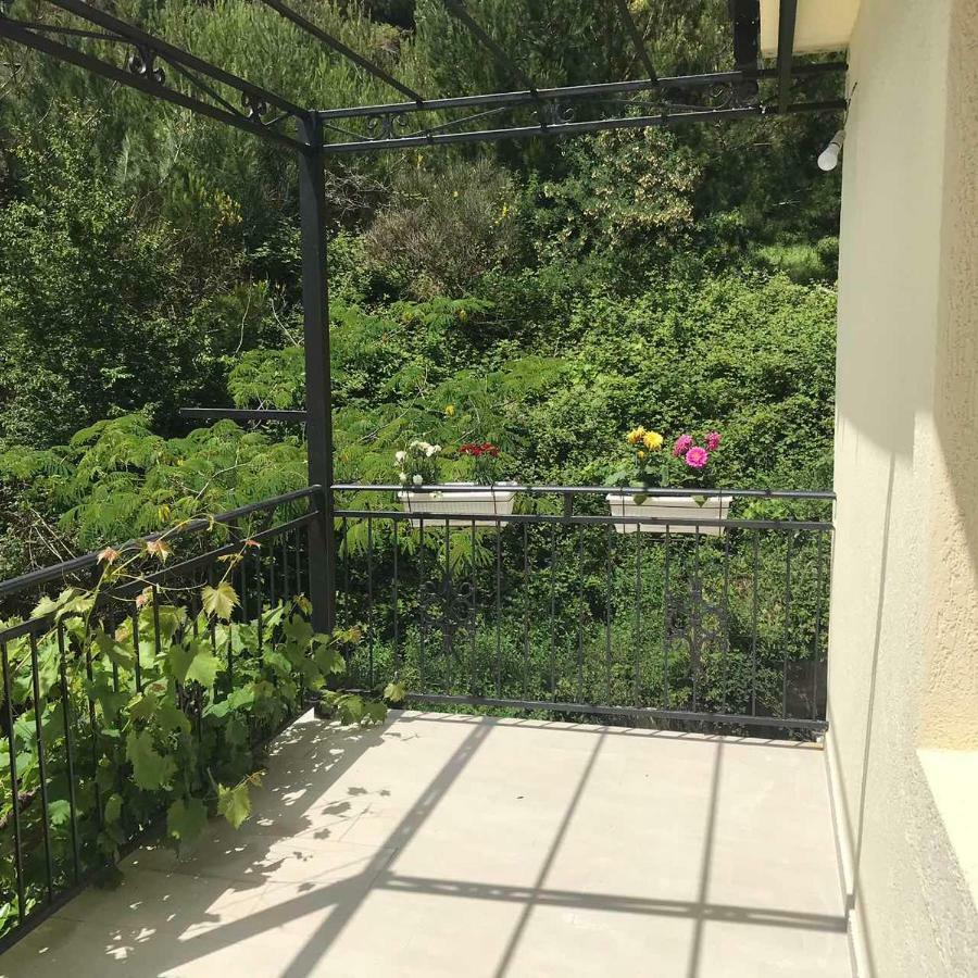 Apartments Petkovic Petrovac 외부 사진