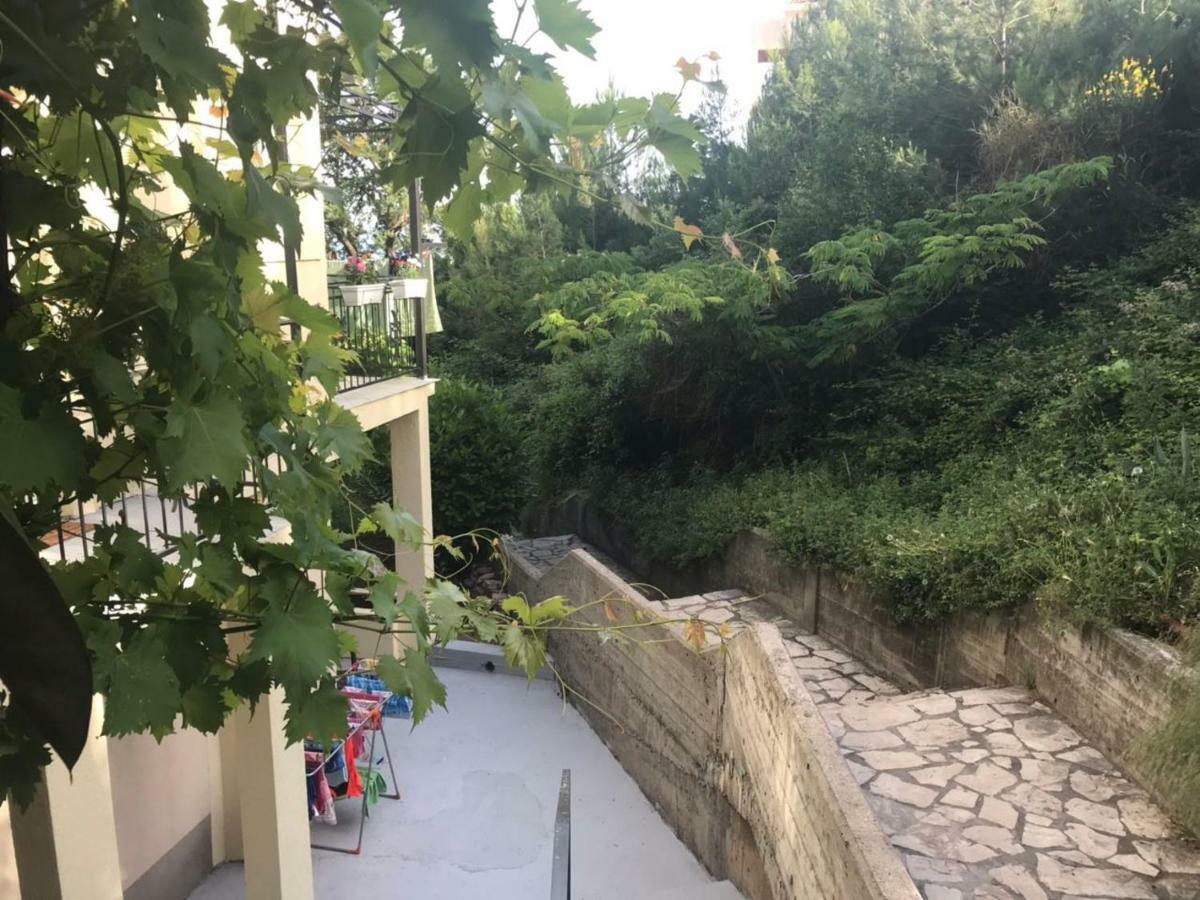 Apartments Petkovic Petrovac 외부 사진